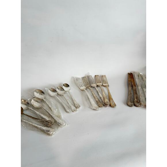 19 Piece Silverplate William Rogers & Son Flatware Set New Vintage Some Wrapped - Picture 2 of 6